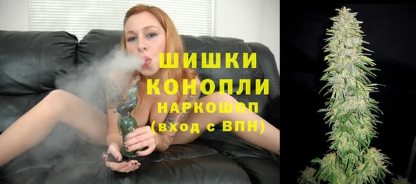 хмурый Гусев